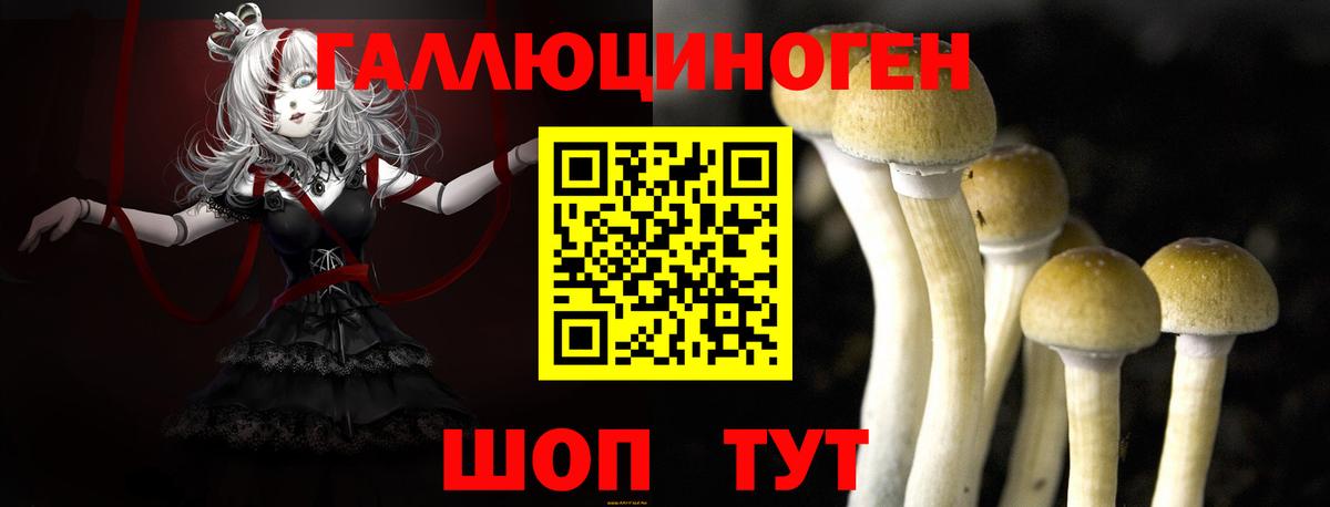 Псилоцибиновые грибы Psilocybe  Псилоцибиновые грибы Cubensis  магазин  наркотиков  Уварово  Вход с VPN 